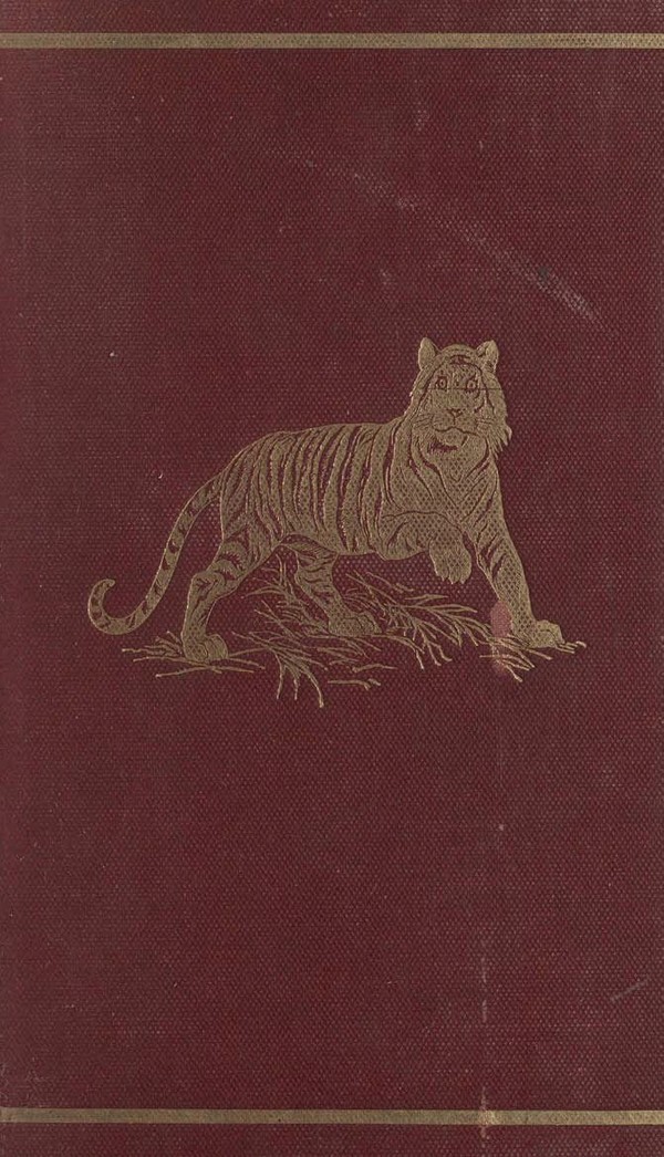 Wild beasts and their ways : reminiscences of Europe, Asia, Africa and America