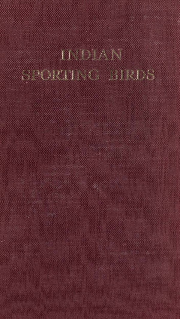 Indian Sporting Birds