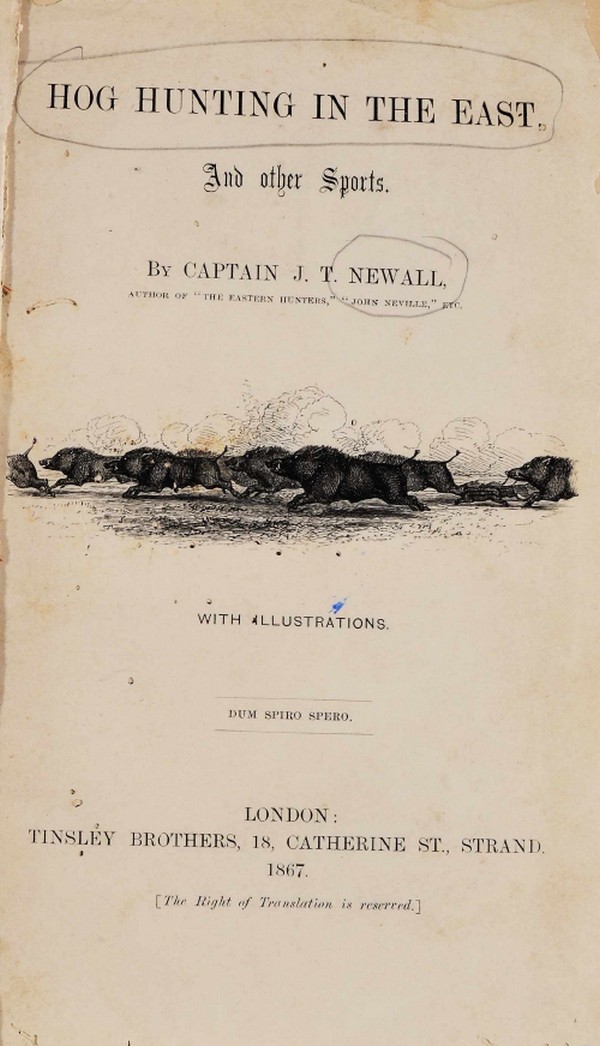 Hog Hunting in the East