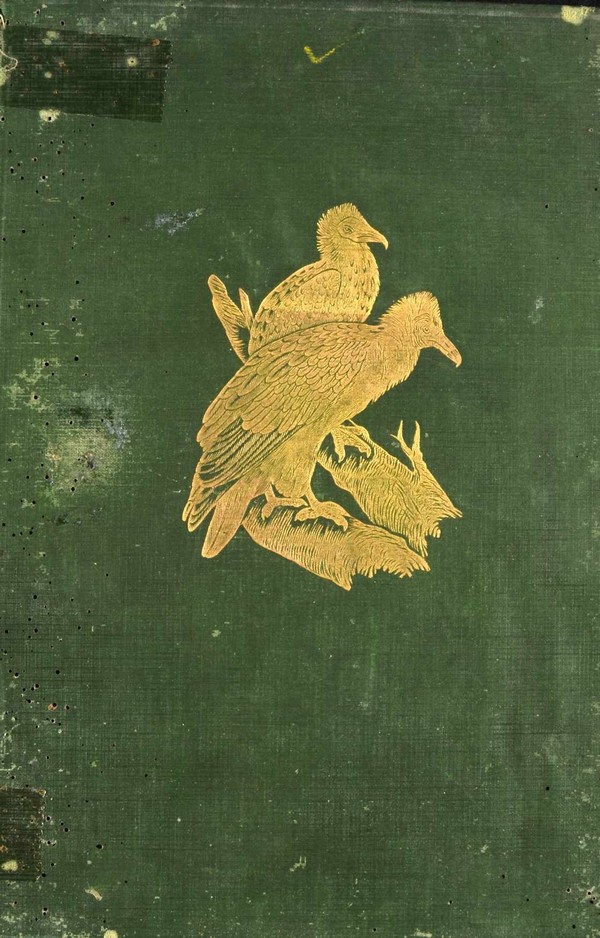 History of British Birds-I