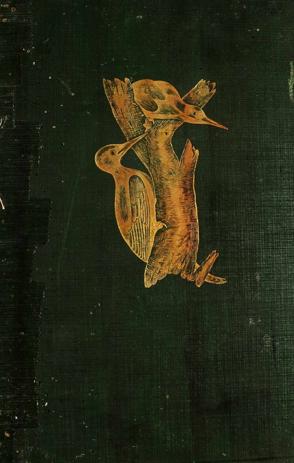 History of British Birds-II