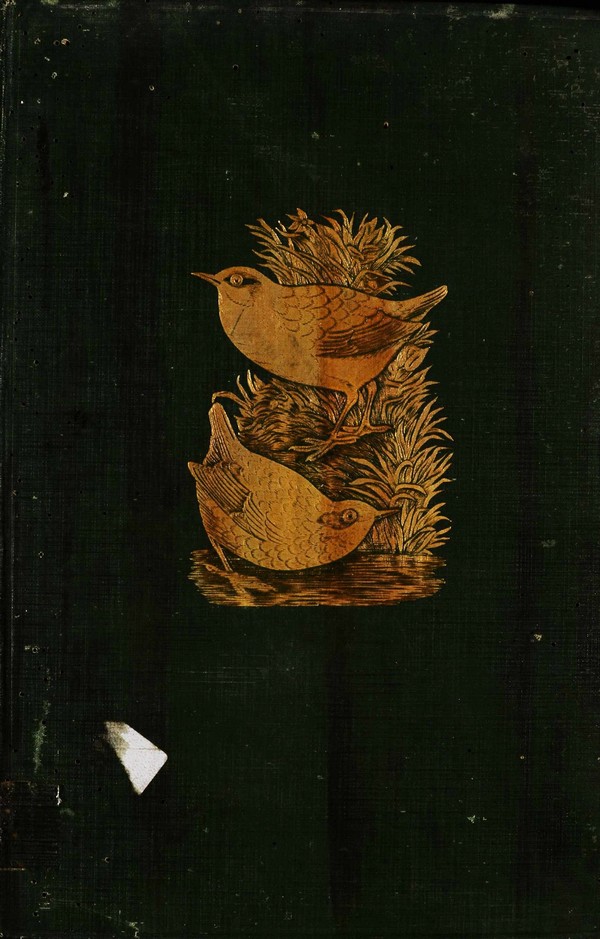 History of British Birds-III