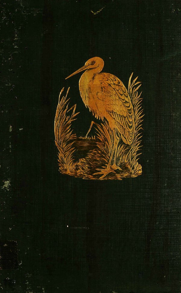 History of British Birds-IV
