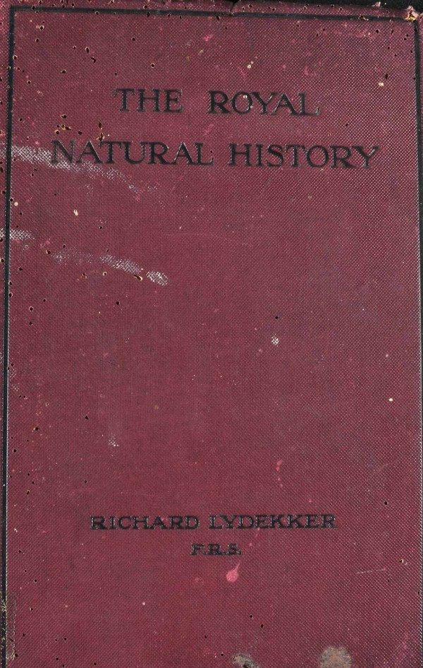 The Royal Natural History. Vol. II: Mammals