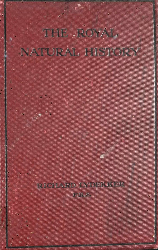 The Royal Natural History. Vol. IV: Birds