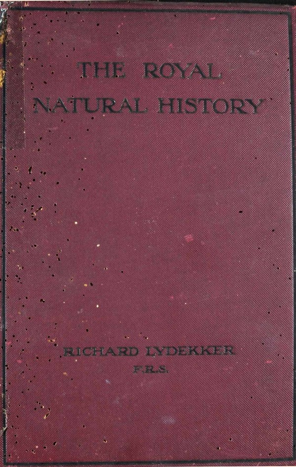 The Royal Natural History. Vol. VI: Invertibrates