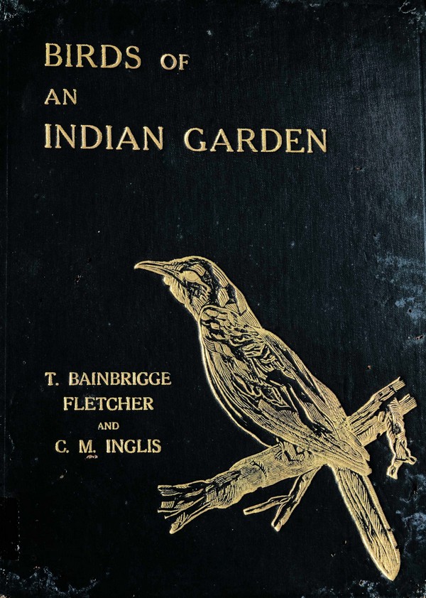 Birds of an Indian Garden