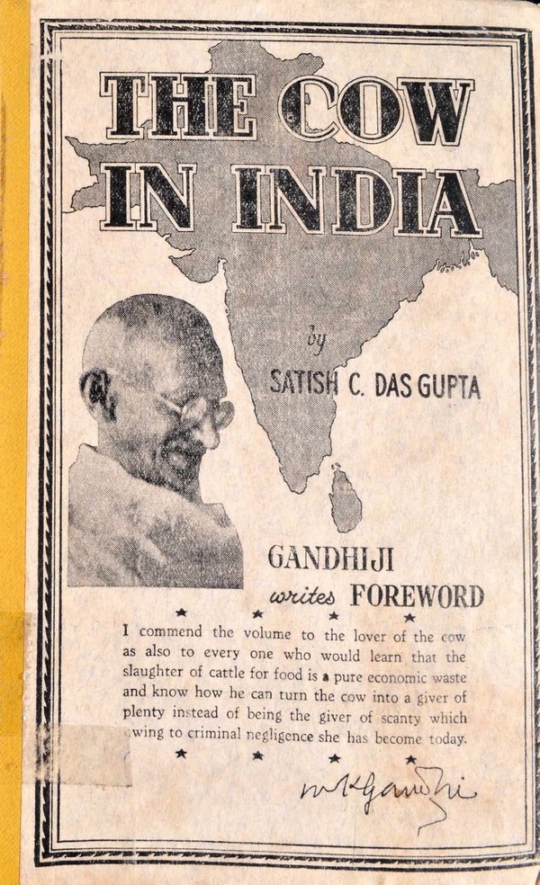 The Cow in India. Vol. II: The Body of the Cow -Its Diseases and Treatment