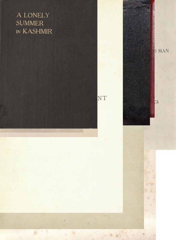 Lonely Summer in Kashmir