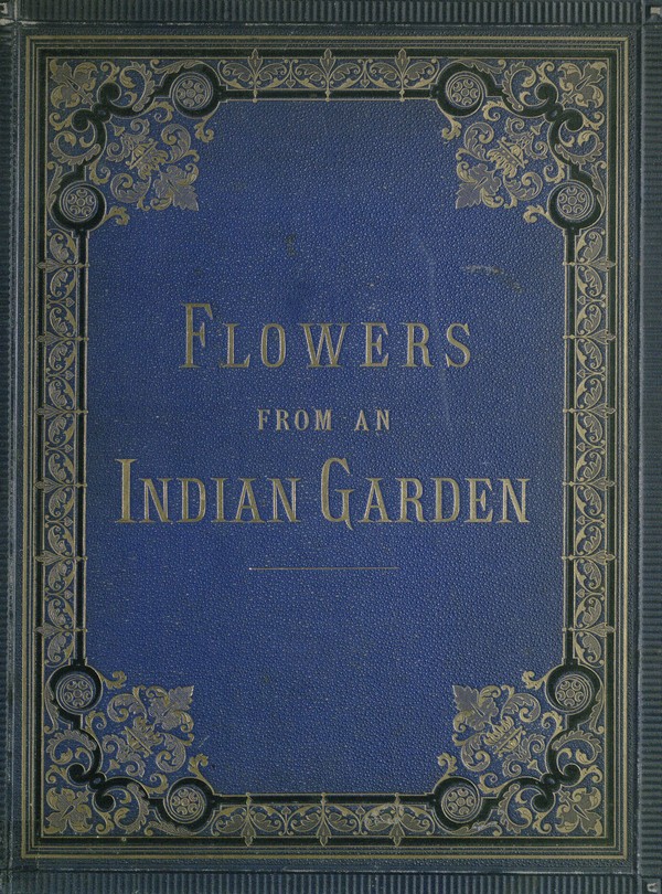 Flowers from an Indian Garden