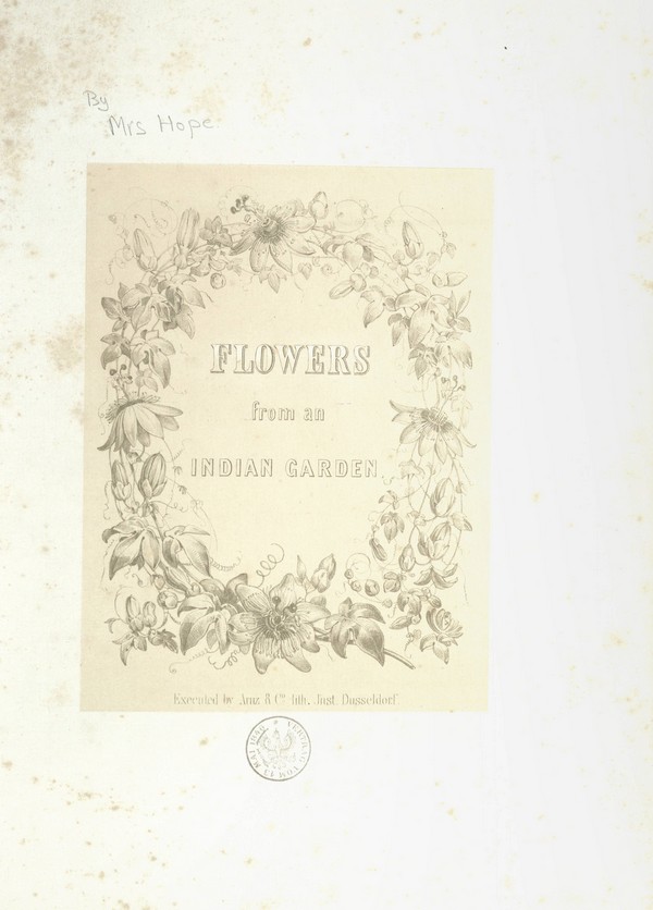 Flowers from the Indian Gardern