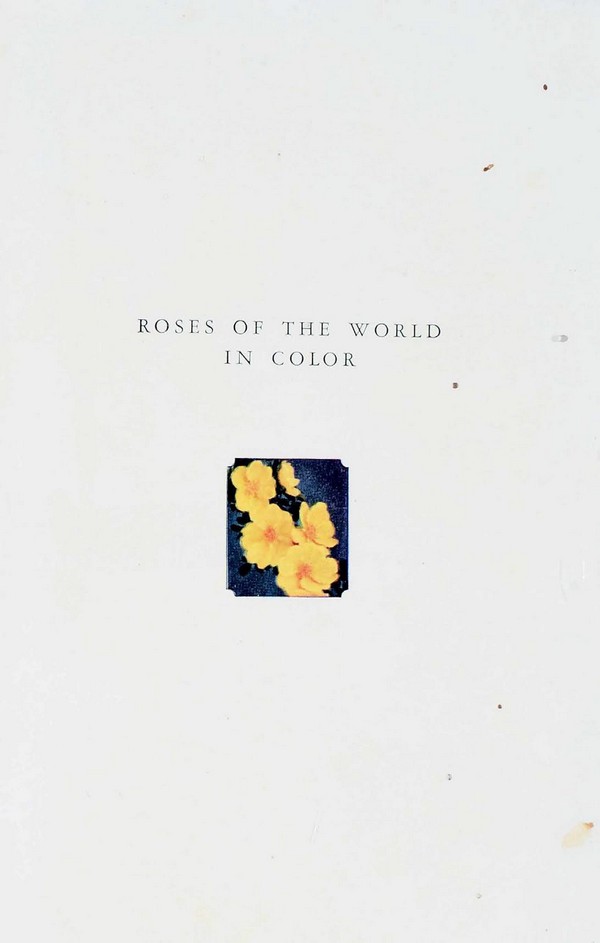 Roses of the World in colour