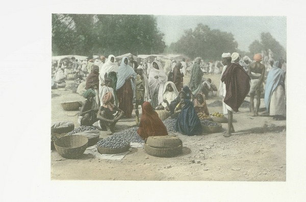 History of India. Vol. I: From the Earliest Times to the Sixth Century B. C. Vol. VI