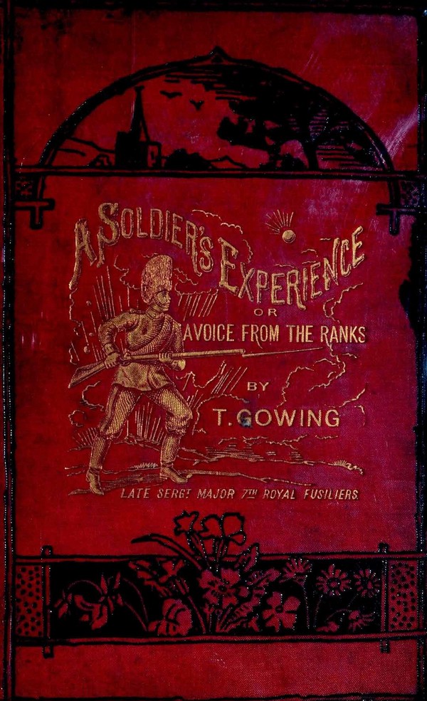 A Solder’s experience, or A voice from the banks: Showing the cost of war in blood and treasure