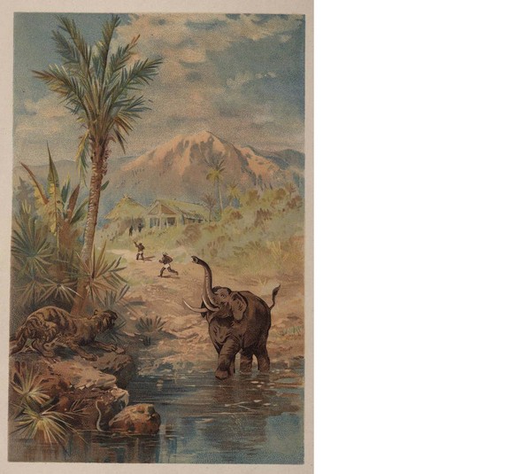 Adventures of two youths in a Journey to ceylon and India