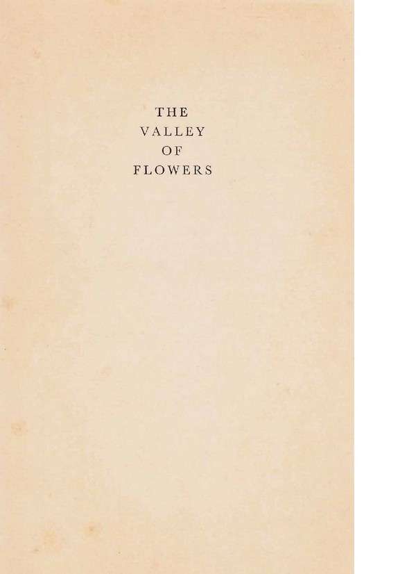 The Valley of Flowers